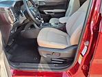 New 2025 Ford Ranger XLT SuperCrew Cab 4x4 Pickup for sale #5N4026 - photo 11