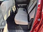 New 2025 Ford Ranger XLT SuperCrew Cab 4x4 Pickup for sale #5N4026 - photo 12