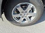 New 2025 Ford Ranger XLT SuperCrew Cab 4x4 Pickup for sale #5N4050 - photo 10