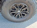 2025 Ford F-150 SuperCrew Cab 4x4 Pickup for sale #5N4081 - photo 12