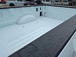 2025 Ford F-350 Crew Cab DRW 4x4 Pickup for sale #5N4101 - photo 16