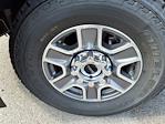 New 2025 Ford F-350 XLT Regular Cab 4x4 SRW Pickup for sale #5N4134 - photo 14