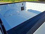 2025 Ford F-150 SuperCrew Cab 4x4 Pickup for sale #5N4178 - photo 19