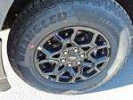 2025 Ford F-150 SuperCrew Cab 4x4 Pickup for sale #5N4265 - photo 16