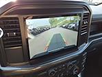 New 2025 Ford F-150 STX SuperCrew Cab 4x4 Pickup for sale #5N4296 - photo 22
