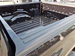 2025 Ford F-150 SuperCrew Cab 4x4 Pickup for sale #5N4297 - photo 19