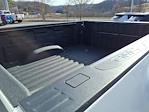 2025 GMC Sierra 3500 Crew Cab 4WD Pickup for sale #5N4388A - photo 17
