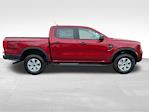 New 2025 Ford Ranger XL SuperCrew Cab for sale #5N4556 - photo 11