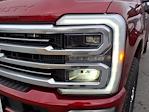 2026 Ford F-350 Crew Cab SRW 4WD Pickup for sale #5N4619 - photo 16