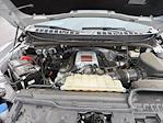 2024 Ford F-150 SuperCrew Cab 4WD Pickup for sale #5N4619A - photo 15