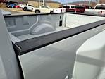 2026 Ford F-350 Crew Cab DRW 4WD Pickup for sale #5X4608 - photo 16