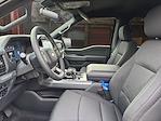 New 2026 Ford F-150 XLT SuperCrew Cab for sale #3A06126 - photo 14