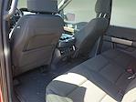 New 2025 Ford F-150 STX SuperCrew Cab 4x4 Pickup for sale #3A18021 - photo 12