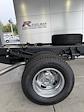 2024 Ford F-350 Regular Cab DRW 4x4, Cab Chassis for sale #3A30440 - photo 12