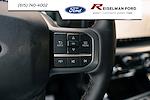 2025 Ford F-150 SuperCrew Cab 4x4 Pickup for sale #3A53099 - photo 28