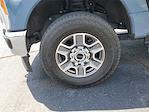 2023 Ford F-350 Crew Cab SRW 4WD Pickup for sale #3B26764A - photo 5