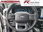 2025 Ford F-150 SuperCrew Cab 4x4 Pickup for sale #3B27428 - photo 20