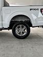 New 2024 Ford F-150 XLT SuperCrew Cab 4x4 Pickup for sale #3B45743 - photo 11