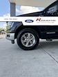 2024 Ford F-150 SuperCrew Cab 4x4 Pickup for sale #3B45990 - photo 10