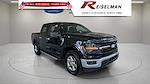 2024 Ford F-150 SuperCrew Cab 4x4 Pickup for sale #3B45990 - photo 4