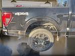 2026 Ford F-150 SuperCrew Cab 4WD Pickup for sale #3D00613 - photo 7