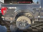 New 2026 Ford F-150 STX SuperCrew Cab for sale #3D00613 - photo 8