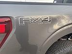 New 2026 Ford F-150 XLT SuperCrew Cab for sale #3D02171 - photo 8