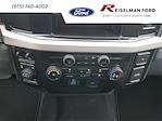 2025 Ford F-350 Crew Cab SRW 4x4 Pickup for sale #3D28841 - photo 32