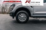 2025 Ford F-150 SuperCrew Cab 4x4 Pickup for sale #3D29557 - photo 11