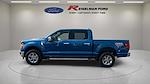 New 2025 Ford F-150 XLT SuperCrew Cab 4x4 Pickup for sale #3D39824 - photo 11