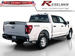 2025 Ford F-150 SuperCrew Cab 4x4 Pickup for sale #3D41029 - photo 2