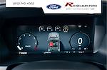 2025 Ford F-150 SuperCrew Cab 4x4 Pickup for sale #3D41899 - photo 23