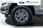 New 2025 Ford F-150 XLT SuperCrew Cab 4x4 Pickup for sale #3D59318 - photo 12
