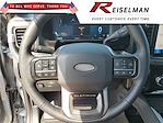 2025 Ford F-350 Crew Cab DRW 4x4 Pickup for sale #3D66860 - photo 20