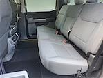 New 2025 Ford F-150 XLT SuperCrew Cab 4WD Pickup for sale #3D70667 - photo 11
