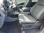 New 2025 Ford F-150 XLT SuperCrew Cab 4WD Pickup for sale #3D70667 - photo 16