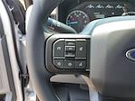 2025 Ford F-350 Regular Cab SRW 4x4 Pickup for sale #3D71460 - photo 21