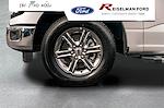 New 2025 Ford F-150 XLT SuperCrew Cab Pickup for sale #3D76812 - photo 13
