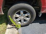 2021 Ford F-150 SuperCrew Cab 4WD Pickup for sale #3E12281B - photo 10