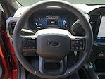 2025 Ford F-150 SuperCrew Cab 4x4 Pickup for sale #3E18011 - photo 20