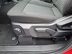 New 2025 Ford Ranger XL SuperCrew Cab 4x4 Pickup for sale #3E35398 - photo 17