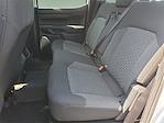 New 2025 Ford Ranger XL SuperCrew Cab Pickup for sale #3E35472 - photo 9