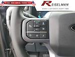 2025 Ford F-150 SuperCrew Cab 4x2 Pickup for sale #3E37811 - photo 20