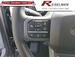 2025 Ford F-150 SuperCrew Cab 4x2 Pickup for sale #3E39212 - photo 20