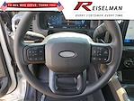 2025 Ford F-150 SuperCrew Cab 4x4 Pickup for sale #3E41598 - photo 20