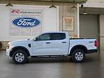 New 2025 Ford Ranger XL SuperCrew Cab for sale #3E74318 - photo 4