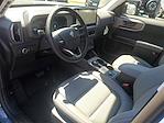 New 2025 Ford Bronco Sport Badlands 4x4 SUV for sale #3F22705 - photo 18