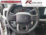 2024 Ford F-250 Regular Cab RWD Pickup for sale #3F99908A - photo 14