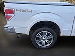 2014 Ford F-150 SuperCrew Cab 4WD Pickup for sale #3R784A - photo 8