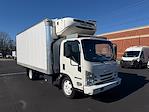2020 Isuzu NQR Regular Cab 4x2 Refrigerated Body for sale #900872P - photo 4